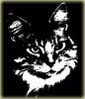 images/avatars/avatar-1444.jpg
