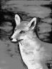 images/avatars/avatar-4015.jpg